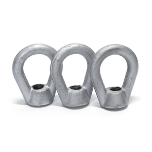 OEM High- Strength Drop Forged Eye Nut